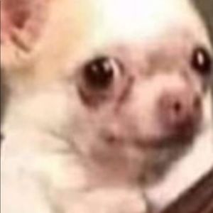 Meet your Posher, Emely